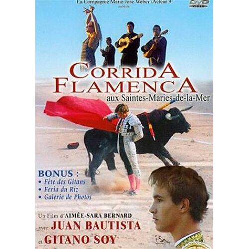 Corrida Flamenca Aux Saintes-Maries-De-La-Mer