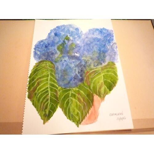 Aquarelle Originale