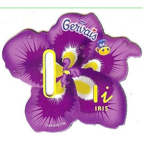 Magnet Pochoir Gervais Lettre I Iris