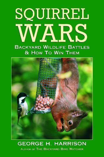 Squirrel Wars: Backyard Wildlife Battles & How To Win Them