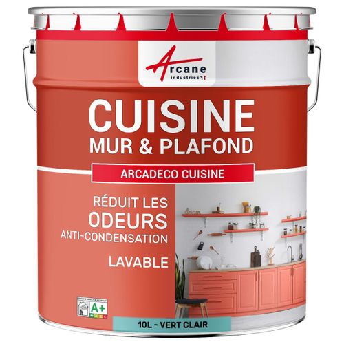 Peinture cuisine lessivable absorbe les odeurs Vert clair - RAL 7047 10 L