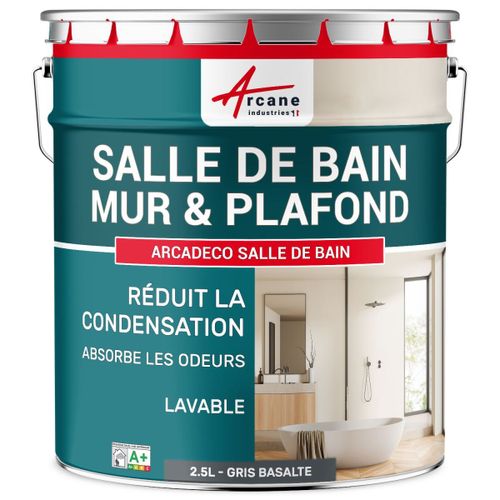 Peinture salle de bain mur plafond condensation Gris Basalte - RAL 7012 2.5 L
