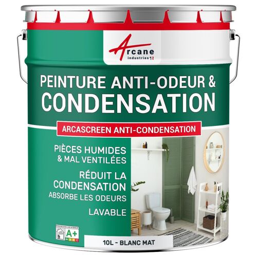 Peinture anti condensation anti odeur moisissure Blanc 10 L