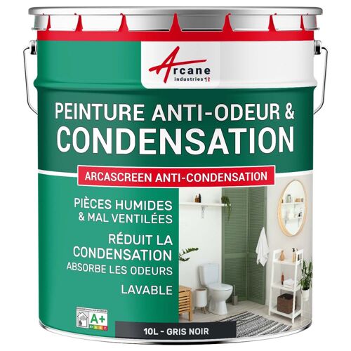 Peinture anti condensation anti odeur moisissure Gris noir RAL 7021 10 L