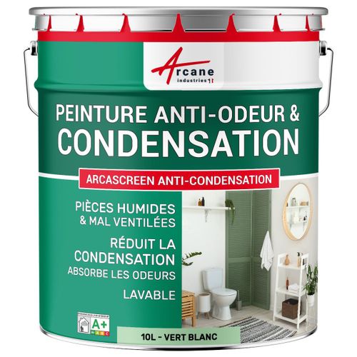 Peinture anti condensation anti odeur moisissure Vert Blanc - RAL 6019 10 L