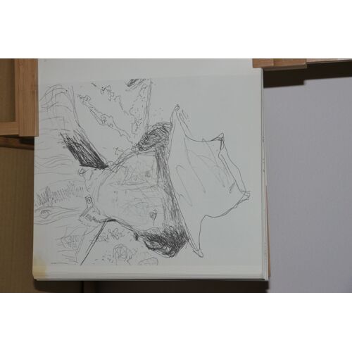 Pau L Courtin, Dessins, 1952 -1993