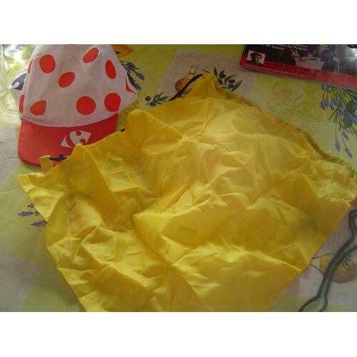 Sac De Course En Toile Banque Lcl (Souvenir Du Tour)