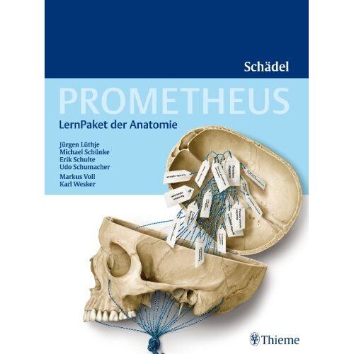Prometheus Lernpaket Der Anatomie: Schädel