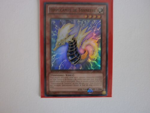Hippocampe De Tonnerre Ct10-Fr016 En Super Rare