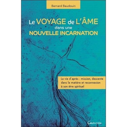 Le Voyage De L'âme Dans Une Nouvelle Incarnation - La Vie D'après : Mission, Descente Dans La Matière Et Reconnexion À Son Être Spirituel