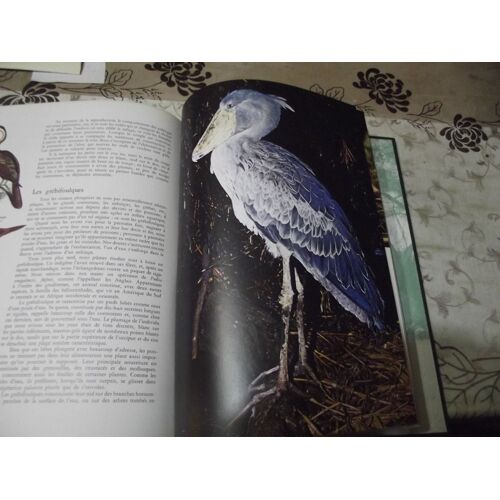 La Faune N° 7