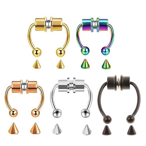 5 Pcs Faux Septum Piercing Magnétique Fer À Cheval Anneau De Nez Non Piercing Clip Acier Inoxydable Réutilisable Nez Hoop Bijoux