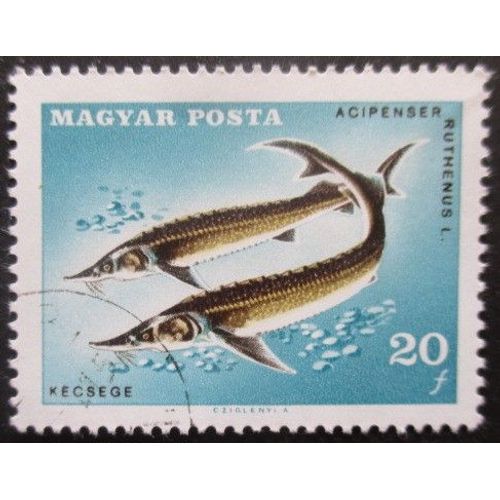 Hongrie N°1910 Poissons Oblitéré