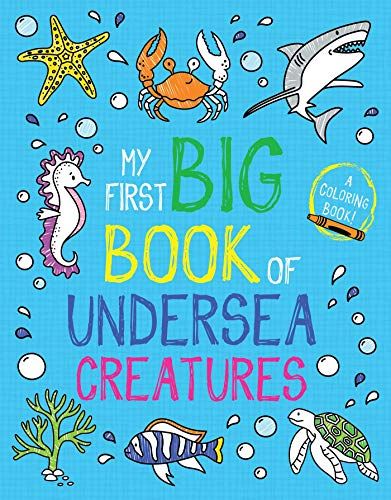 My First Big Book Of Undersea Creatures