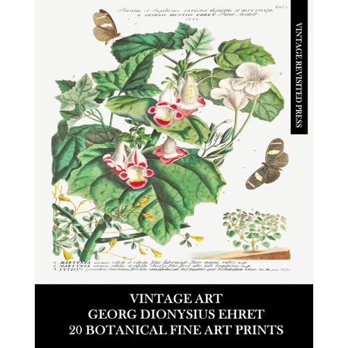 Vintage Art: Georg Dionysius Ehret: 20 Botanical Fine Art Prints: Floriculture And Entomology Ephemera For Framing