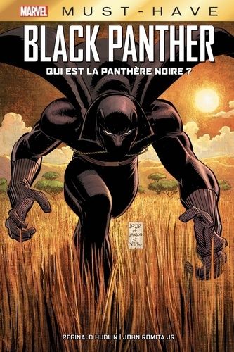 Black Panther - Qui Est La Panthère Noire ?