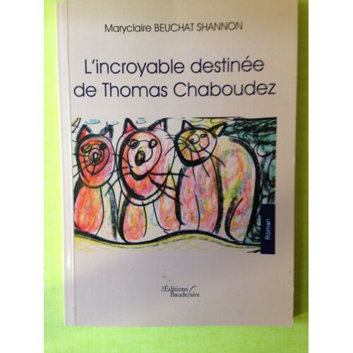 L'incroyable Destinée De Thomas Chaboudez