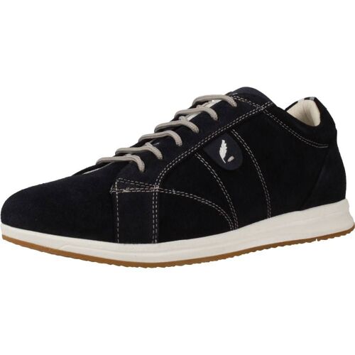 Baskets Geox 022au D Avery A Bleu