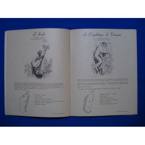 Les Animaux De Madagascar.  Mammifères.  Lémuriens, Insectivores, Carnivores, Rongeurs, Chiroptères, Artiodactyle, Siréniens