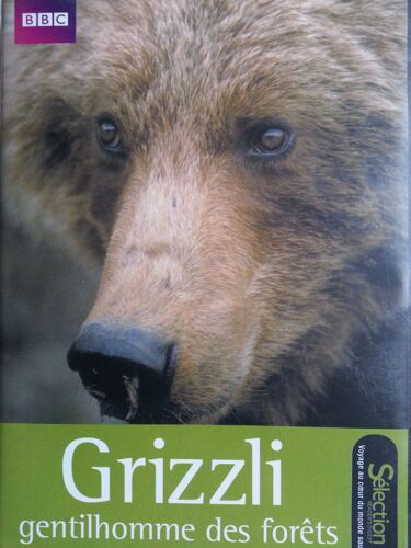 Grizzli Gentilhomme Des Forêts