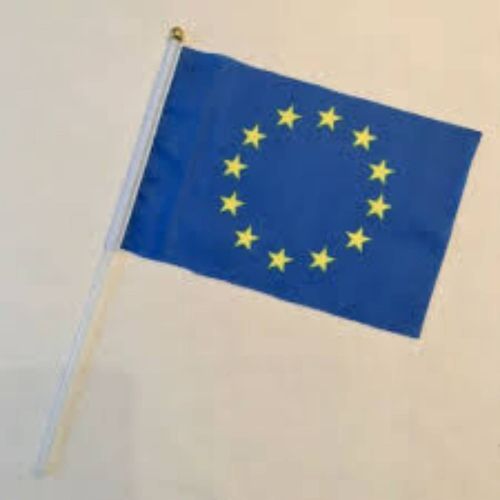 Drapeau Européen 20x14 Cm