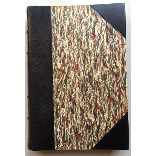 Le Foie Et La Veine Porte