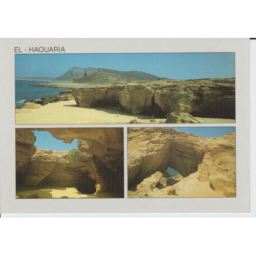 Carte Postale El - Haouaria , Tunisie
