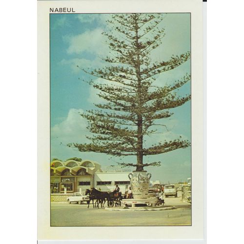 Carte Postale Nabeul , La Gare Et Sa Plante En Pot , Tunisie