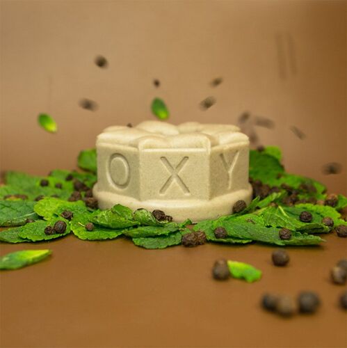 Shampoing Solide Antichute De Cheveux Au Parfum Délicat De Menthe Poivrée - 100% Naturel - Fabrication Française 