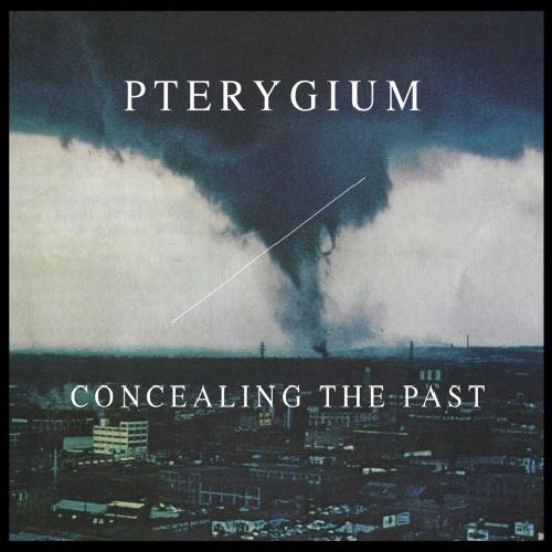 Concealing The Past