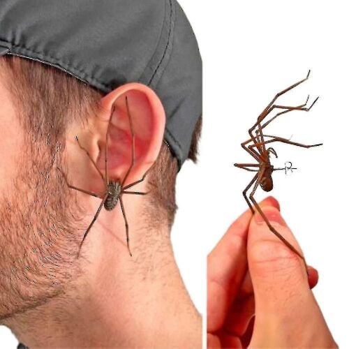 Boucles D'oreilles Araignée Géante Halloween Carnaval Boucles D'oreilles
