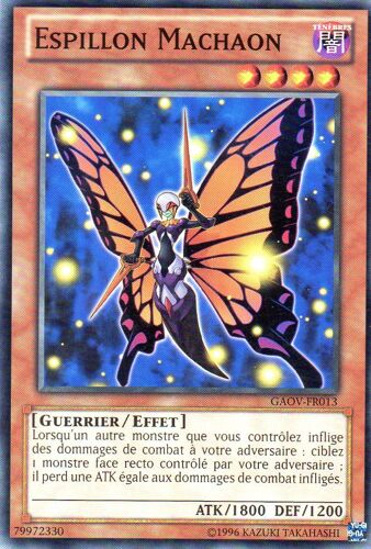 3x -  Espillon Machaon  -  Gaov-Fr013