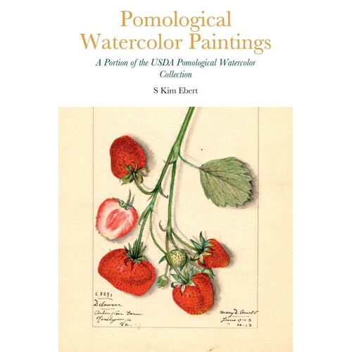 Pomological Watercolor Paintings