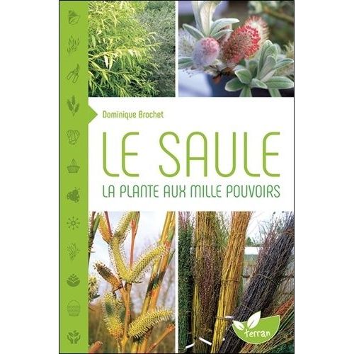 Le Saule - La Plante Aux Mille Pouvoirs