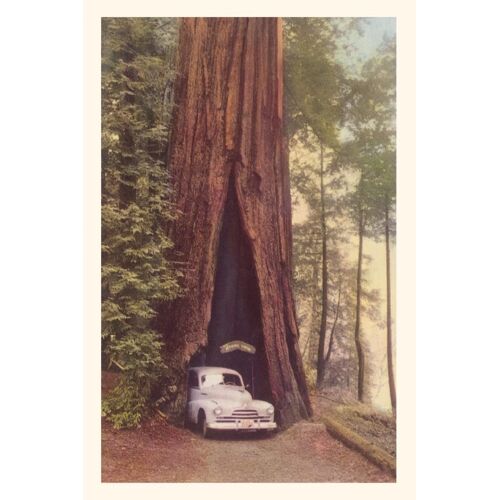 Vintage Journal Redwood And Old Car