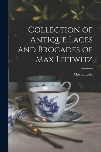 Collection Of Antique Laces And Brocades Of Max Littwitz