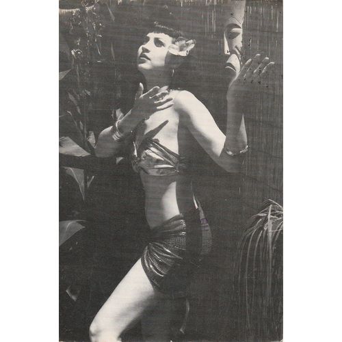 Zebra Stripes: The Exotic Sounds Of.. Carte Postale Usa- Dionysus 1990