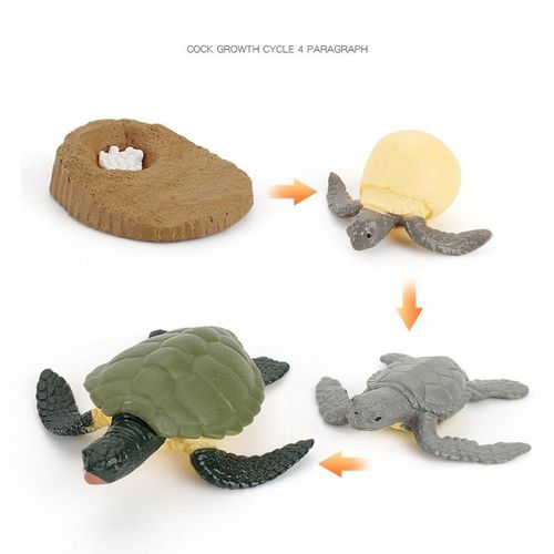 Figurines Du Cycle De Vie Des Insectes Papillon, 4 Pièces, Modèle Scientifique, Jouets Éducatifs, Évolution, Modèle De Scène De Croissance