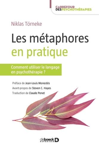 Les Métaphores En Pratique - Comment Utiliser Le Langage En Psychothérapie ?