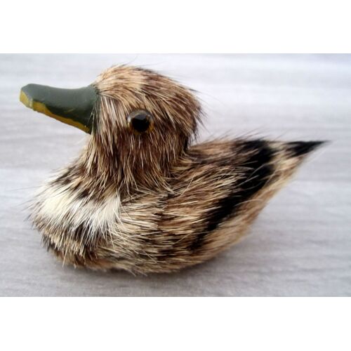 Canard Recouvert Crin