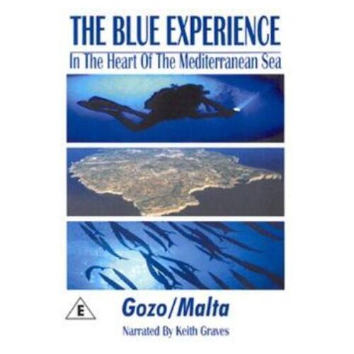 Blue Experience