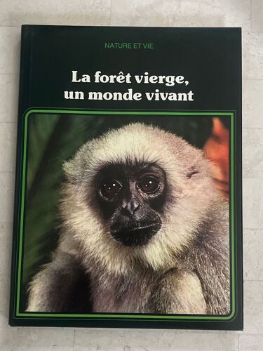 La Forêt Vierge : Un Monde Vivant, Par J. M. Breure-Scheffer 