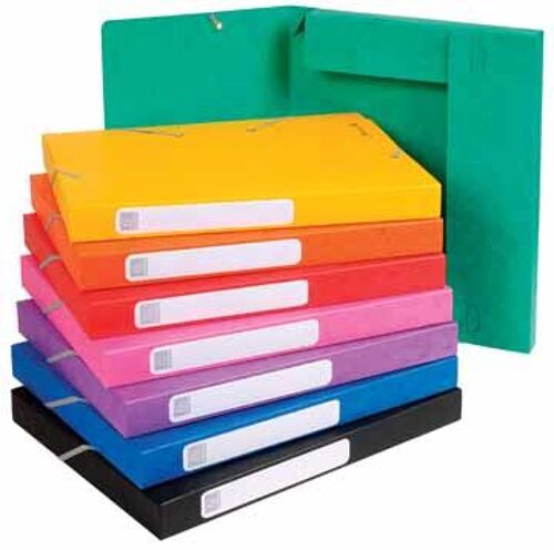 Exacompta Boîte De Classement Cartobox Dos De 25 Mm, Couleurs Assorties: Vert, Bleu, Jaune, Rouge, Violet 25 Unité(S)