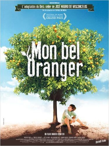 Mon Bel Oranger - Véritable Affiche De Cinéma Pliée - Format 120x160 Cm - De Marcos Bernstein Avec Joao Guilherme Avila, José De Abreu, Caco Ciocler, Eduardo Dascar, Fernanda Vianna - 2013