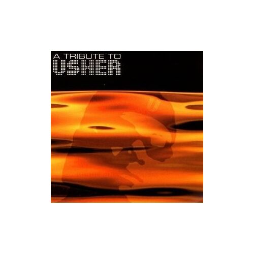 A Tribute To Usher