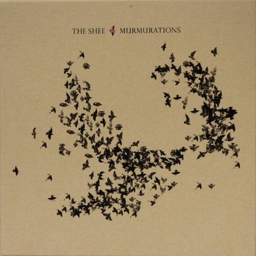Murmurations