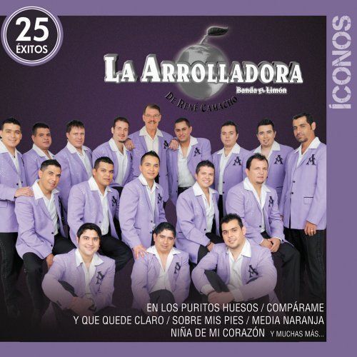 Iconos/25 Exitos
