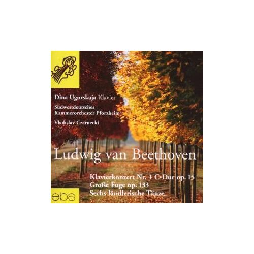 Klavierkonzert 1 (Streicherfass.Vinzenz Lachner)