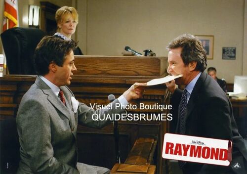 Raymond - The Shaggy Dog (Walt Disney): Jeu De 6 Photos D'exploitation Cinématographique - Format 20x28.5 Cm - De Brian Robbins Avec Tim Allen, Kristin Davis, Craig Kilborn, Robert Downey Jr. - 2006