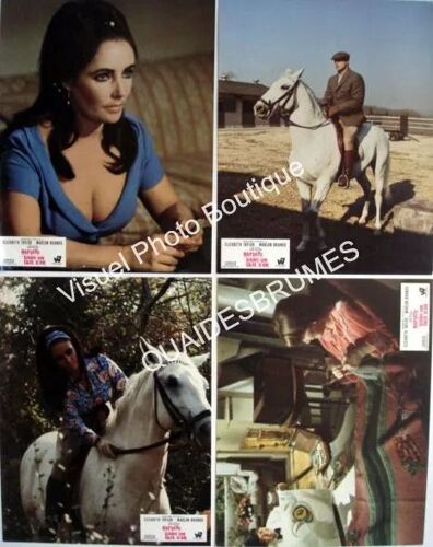 Reflets Dans Un Oeil D'or - Reflections In A Golden Eye: Jeu De 12 Photos D'exploitation Cinématographique - Format 22.5x28.5 Cm - De John Huston Avec Elizabeth Taylor, Marlon Brando, Brian Keith 1967